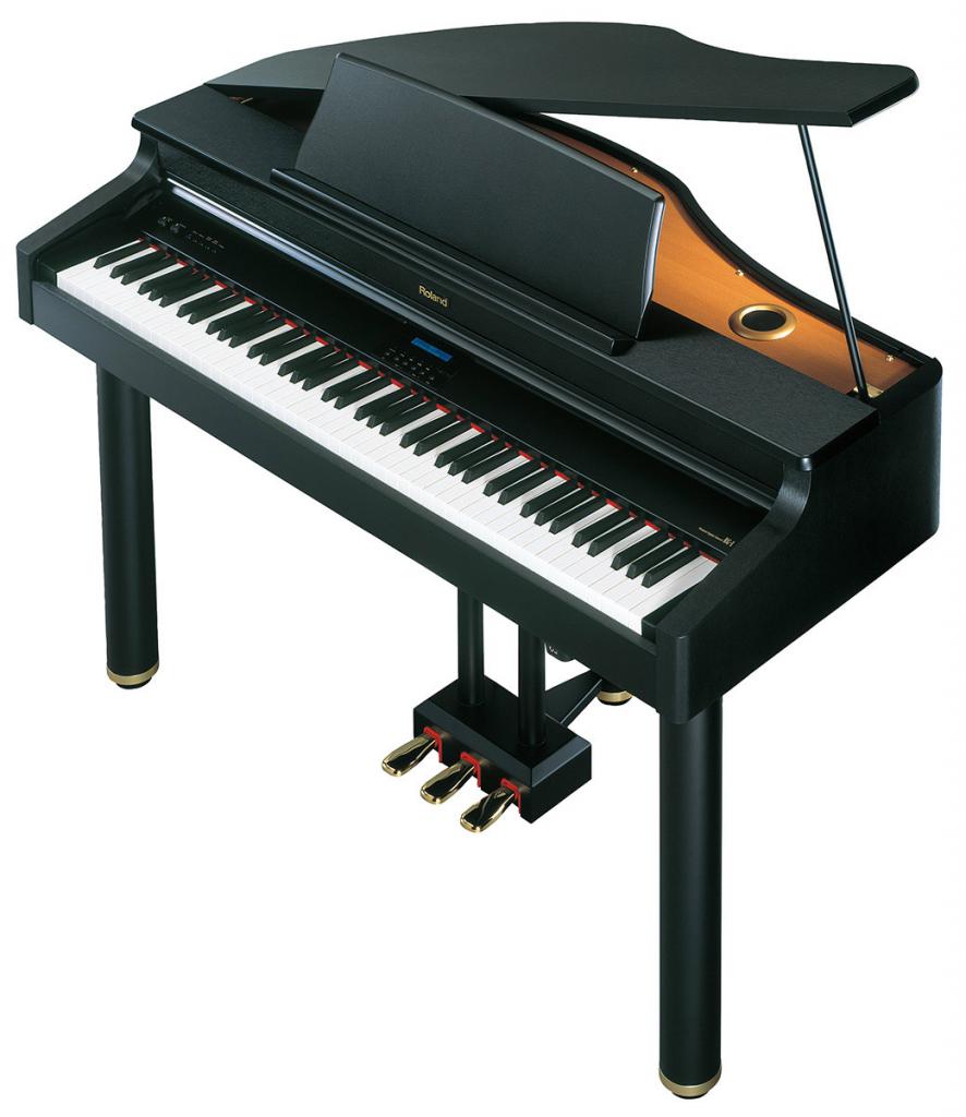 ROLAND RG-1 SB