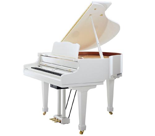 ROLAND RG-7 PW